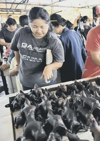  ??  ?? 0 Bat meat on sale in Tomohon market in Indonesia – the meat of critically endangered crested black macaques is prized by the ethnic Minahasan people in Sulawesi