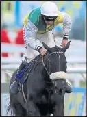 ??  ?? Many Clouds collapsed and died after the Cotswold Chase on Saturday