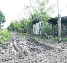  ??  ?? OBSTÁCULO. Los niños que han empezado las clases tienen que caminar en medio de lodo para llegar a las escuelas.