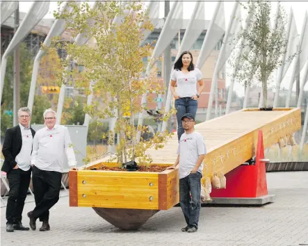  ?? PHOTOS: JIM WELLS ?? DIALOG’s Doug Cinnamon, Robert Claiborne, Tracy Liu, and Tuan Pham with the Treeter Trotter installati­on at C-Square on Wednesday.