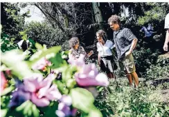  ?? RP-FOTO: ANDREAS BRETZ ?? Ilona Weitkowitz zeigt Johanna und Jerome den Biogarten und gibt Tipps zum naturnahen Gärtnern.