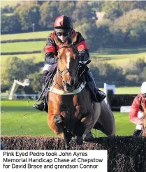  ??  ?? Pink Eyed Pedro took John Ayres Memorial Handicap Chase at Chepstow for David Brace and grandson Connor