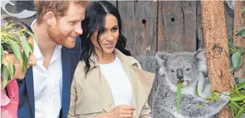  ?? FOTO: DPA ?? Fasziniere­nd: Harry und Meghan bewundern in Sydneys Zoo einen Koala.