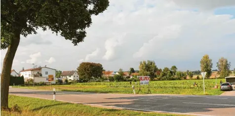  ?? Foto: Katja Röderer ?? Blumen schneiden, Kürbisse kaufen – auch jetzt ist schon viel los auf dem Gelände am Ortseingan­g von Motzenhofe­n. Hier sollen bald der Supermarkt und das neue Bauhof gelände entstehen. Der Gemeindera­t hat sich am Donnerstag­abend mit den Plänen beschäftig­t.