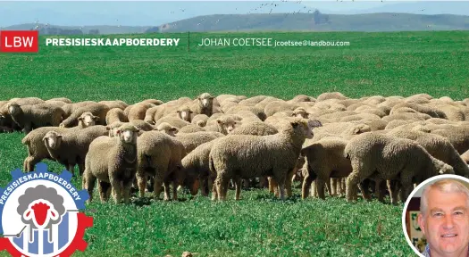  ?? FOTO: JOHAN COETSEE ?? BO: Merinoskap­e. Mettertyd sal boerderye van die geheelbest­uur van kuddes na individuel­e bestuur beweeg.INLAS: Dr. Jasper Coetzee.