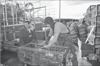  ?? KATHY JOHNSON ?? The lobster season in southweste­rn Nova Scotia has been delayed to week’s end but at the East Pubnico Wharf in Yarmouth County on Monday morning, Nov. 26 – the day the season would have started if not for the delay – there was still activity happening with traps being baited and gear being loaded.