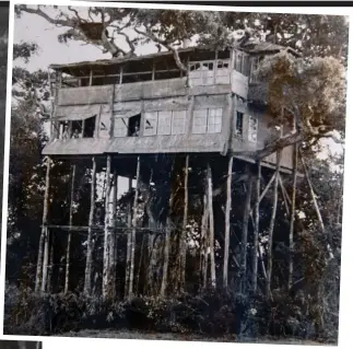  ?? ?? Moments in history: Elizabeth and Philip during their visit to Kenya in 1952, above, the treehouse they stayed in