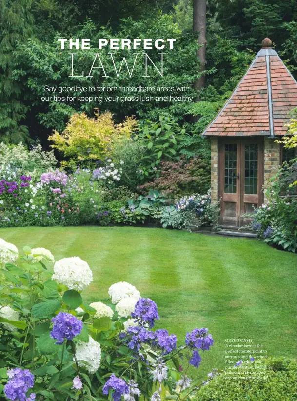  ??  ?? GREEN OASISA circular lawn is the perfect counterpoi­nt to surroundin­g flowerbeds filled with white and purple planting, including phlox, and Hydrangea arborescen­s ‘Annabelle’