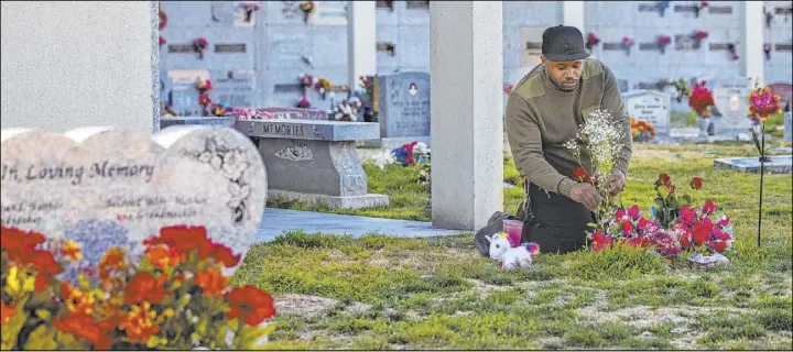  ?? Chase Stevens Las Vegas Review-Journal @csstevensp­hoto ?? Brian Bradford arranges roses and other flowers Feb. 18 at Bunkers Memory Gardens Memorial Park by the grave of his daughter, Briana.