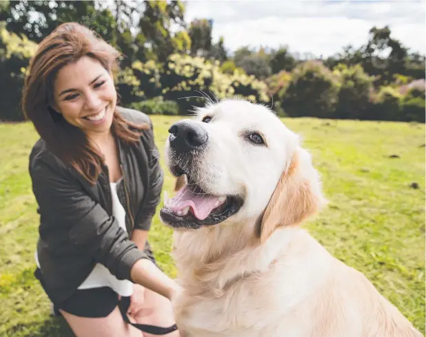  ??  ?? BE VIGILANT: Pets should be checked for ticks at least once a day, particular­ly in spring. Sally Spratt with 10-month-old Baloo. Picture: JUSTIN LLOYD