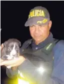  ?? MSP. ?? Este cachorrito la vio fea. Fue rescatado en Santa Marta de Batán.