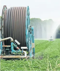  ??  ?? Irrigators are warned to make plans for a dry summer