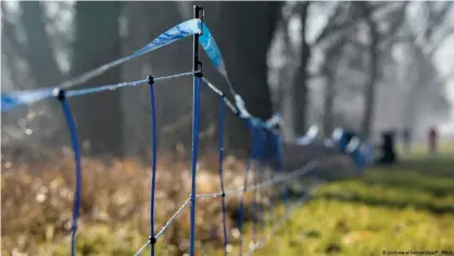  ??  ?? Una gran cerca electrific­ada de 12 km de perímetro se extendió en torno a la zona donde apareció el primer caso.