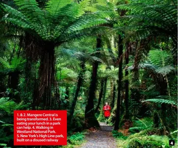  ??  ?? 1. & 2. Mangere Central is being transforme­d. 3. Even eating your lunch in a park can help. 4. Walking in Westland National Park. 5. New York’s High Line park, built on a disused railway 4