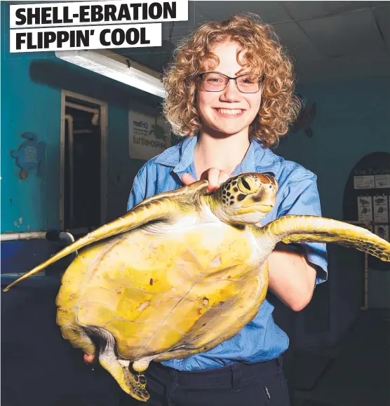  ?? Picture: ALIX SWEENEY ?? VITAL WORK: Reef HQ’S Turtle Hospital intern Cat Plank with Arthur the recuperati­ng green sea turtle.