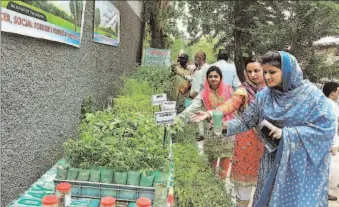  ?? -APP ?? Visitors selecting plants during campaign of Plant for Pakistan Day organized by Forest Officers & Social Forestry Division outside Press Club.