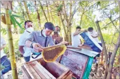  ?? SUPPLIED ?? A man collects honey from a hive.