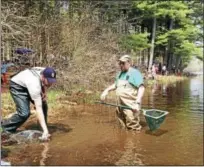  ?? FILE PHOTO ?? DEEP staff coax some of the sluggish trout to move off-shore three years ago. Several hundred are let into the pond on free fishing day.