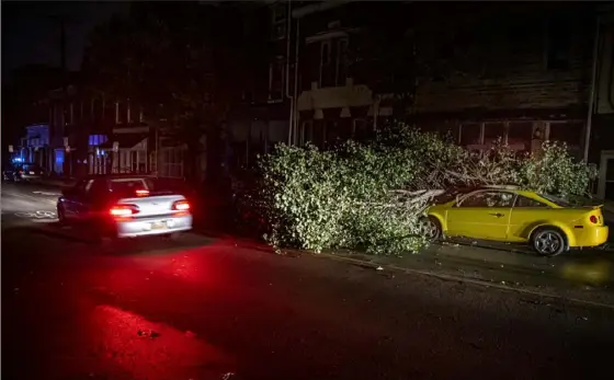  ?? Alexandra Wimley/Post-Gazette ?? A car passes another vehicle with a tree on top of it Saturday on Butler Street in Lawrencevi­lle, where a passing storm damaged buildings, downed trees and caused power outages.