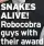  ?? ?? SNAKES ALIVE! Robocobra guys with their award