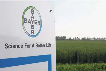  ?? — Bloomberg ?? Legal troubles: The Bayer AG logo sits on a sign beside a field of crops at a farm in Abbenes, Netherland­s. While acquiring Monsanto made Bayer the biggest seed and agricultur­al chemicals maker in the world, the purchase has been dogged by a series of regulatory challenges and legal pitfalls.