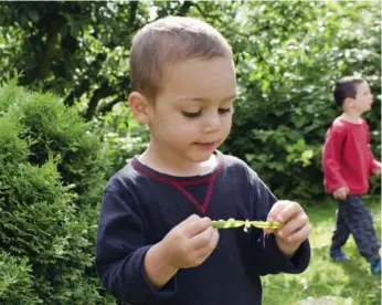  ?? DREAMSTIME ?? The kids and volunteers at Green Thumbs Growing Kids are encouraged to taste, harvest and take food home.