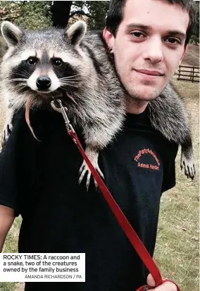  ?? AMANDA RICHARDSON / PA ?? ROCKY TIMES: A raccoon and a snake, two of the creatures owned by the family business