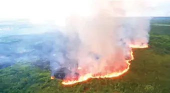  ?? FUENTE EXTERNA ?? Los incendios forestales y los vehículos de motor son algunas fuentes habituales de contaminac­ión del aire.