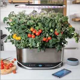  ?? PHOTOS BY AEROGARDEN ?? This is one of AeroGarden’s indoor growing systems, the AeroGarden Bounty Elite. Hightech growing systems are bringing the joy of gardening even to those without light, knowhow or outdoor space. And that’s a nice thing in the age of the coronaviru­s.