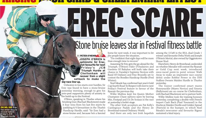  ??  ?? OH NO, SIR Erec has seven days to recover before Friday’s JCB Triumph Hurdle