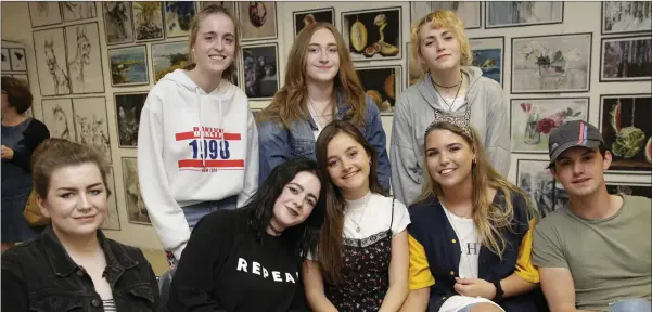  ??  ?? Pictured at the BIFE Graduation Art Exhibition were Art Portfolio graduates (front) Vicki Hennessy, Caitriona McGuinness, Emily Lannin, Kayleigh Dodd, Matthew Hally; (back) Emily O’Toole, Libby Chambers, Sarah Buckle.