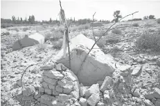  ??  ?? Photo shows what used to be a traditiona­l Uighur cemetery before it was destroyed in Shayar in the region of Xinjiang.