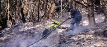  ?? — AFP photo ?? Bogota’s firefighte­rs and citizens combat a forest fire at El Cable hill in Bogotá.