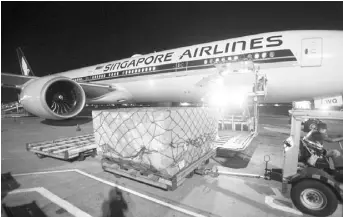  ??  ?? SIA Cargo team facilitati­ng the sixth WFP delivery to Manila on flight SQ916 at the Ninoy Aquino Internatio­nal Airport Terminal 3.