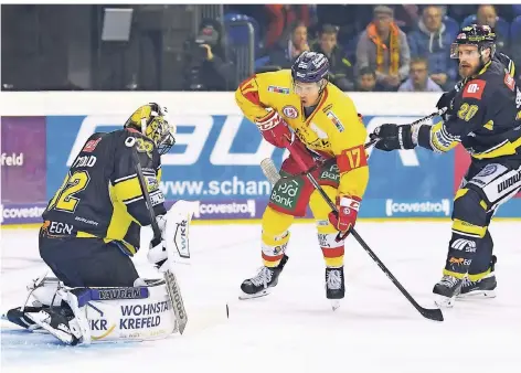  ?? FOTO: BIRGIT HÄFNER ?? Eine Derbyszene aus der vergangene­n Saison: DEG-Stürmer Leon Niederberg­er scheitert an Pinguine-Torhüter Dimitri Pätzold.