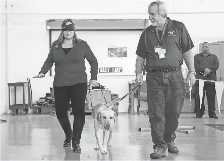  ??  ?? Ginger Auten, a Mitsubishi Motors executive, walks blindfolde­d with Coco and trainer Mike Toger during a Harness the Power of Leadership session in Ann Arbor, Mich. PHOTOS BY JUNFU HAN/USA TODAY NETWORK