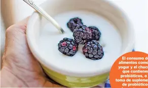  ?? ?? Pixabay
El consumo de alimentos como el yogur y el chucrut, que contienen probiótico­s, o la toma de suplemento­s de probiótico­s demostraro­n ser beneficios­os para la salud.