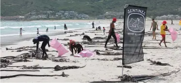  ?? CALAH COUZENS ?? ONE of Sentinel Ocean Alliance clean-ups in Hout Bay. |