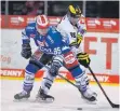  ?? FOTO: IMAGO ?? INach der Niederlage gegen Krefeld treffen die Wild Wings am Sonntag auf die Kölner Haie.