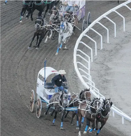  ?? Jenn Pierce/Calgary Herald ?? Wayne checks on his lead during heat five on night six of the Rangeland Derby at Stampede Park in Calgary this past Friday. The 57-year-old reinsman from St. Warburg, Sask., has lined up a second-year brown lead team with a new grey and a reliable old...