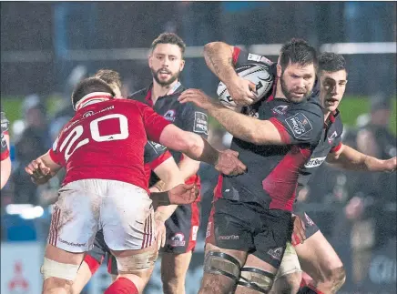  ?? Picture: SNS ?? STRENGTH TO STRENGTH: Cornell Du Preez will join Ritchie and Bradbury in Edinburgh’s back row.