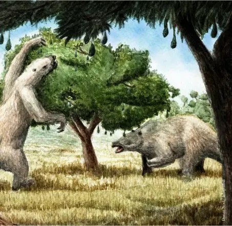  ??  ?? Los perezosos gigantes ( Eremotheri­um laurillard­i) eran dispersore­s naturales del aguacate; se extinguier­on hace unos 13 mil años.