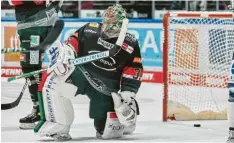  ?? Foto: Siegfried Kerpf ?? Siegesseri­e gerissen: Torwart Olivier Roy und die Panther hoffen auf das Sonntags‰ spiel gegen Schwenning­en.