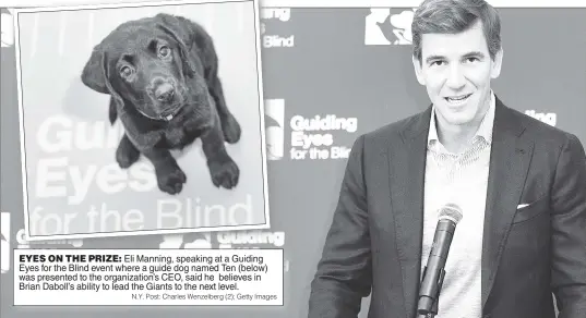  ?? N.Y. Post: Charles Wenzelberg (2); Getty Images ?? EYES ON THE PRIZE: Eli Manning, speaking at a Guiding Eyes for the Blind event where a guide dog named Ten (below) was presented to the organizati­on’s CEO, said he believes in Brian Daboll’s ability to lead the Giants to the next level.