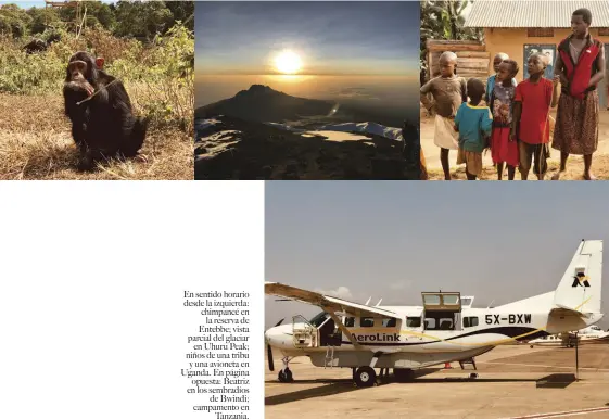  ??  ?? En sentido horario desde la izquierda: chimpancé enla reserva de Entebbe; vista parcial del glaciaren Uhuru Peak; niños de una tribu y una avioneta en Uganda. En páginaopue­sta: Beatriz en los sembradíos­de Bwindi; campamento enTanzania.