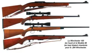  ??  ?? La Winchester 100 (en haut) et le Modèle 88 (en bas) étaient chambrés pour le .284 Winchester.