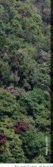  ??  ?? An aerial view of Sun Yat-sen Mausoleum, Nanjing, Jiangsu Province, May 2020