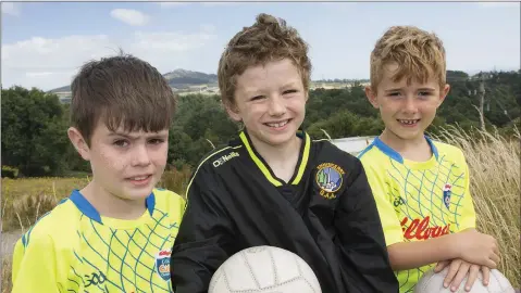  ??  ?? Simon Coleman, Jamie Smith and Ryan Murphy relaxing at the Cúl Camp at St Mary’s Enniskerry.