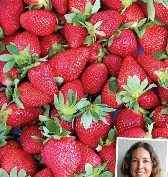  ?? PHOTO: CONTRIBUTE­D ?? STRAWBERRY FIELDS FOREVER: Locals haven’t been deterred by the strawberry crisis, with people still buying them come rain, hail or shine.