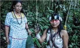  ?? Photograph: Mitch Anderson / Amazon Frontlines ?? Waorani leader Nemonte Nenquimo shows evidence of crude oil contaminat­ion in the northern Ecuadorian Amazon rainforest.